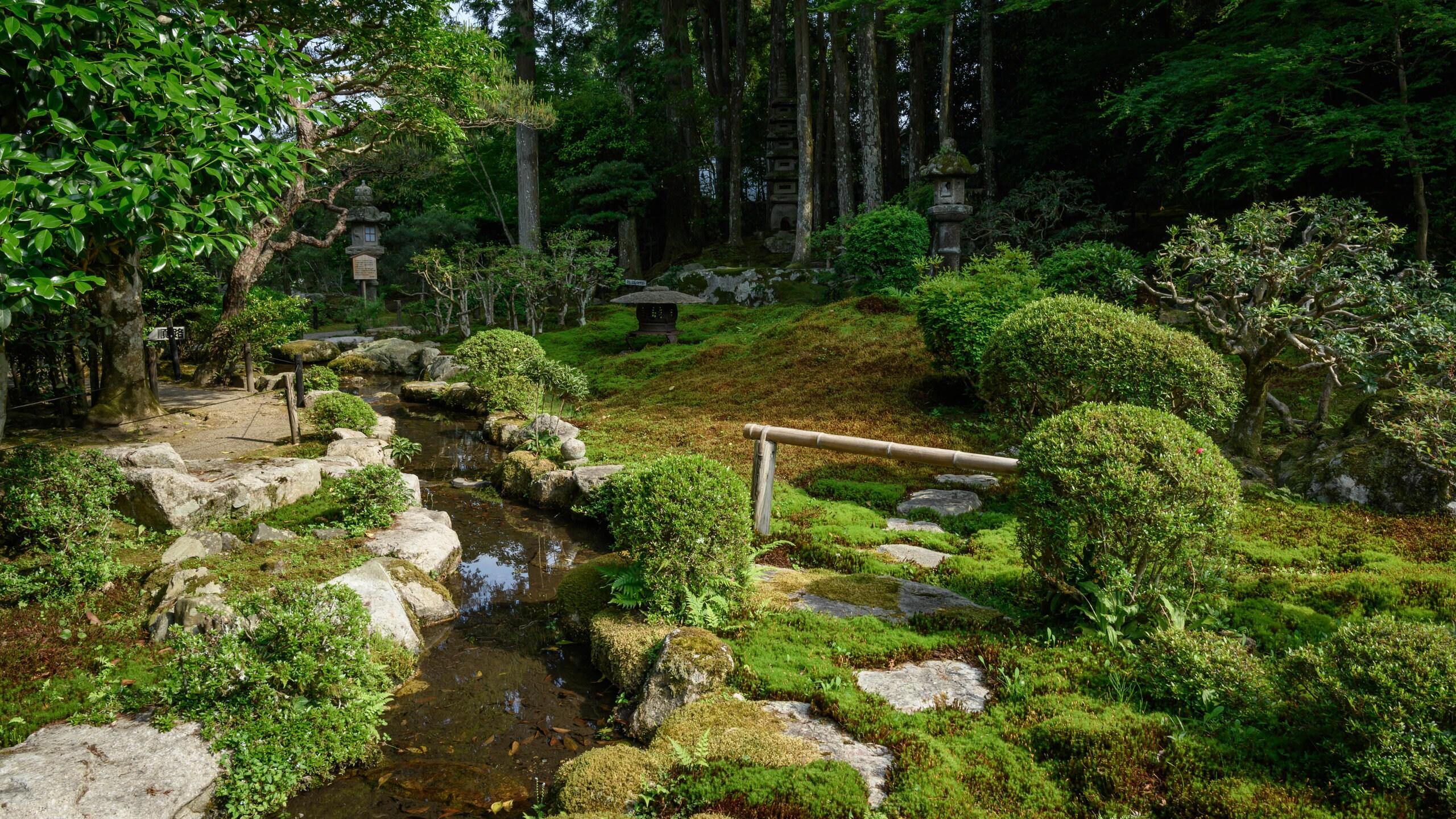 🌿 옛 치쿠린인 정원(규치쿠린인테이엔) 이미지 5